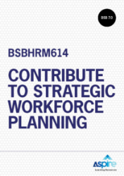 Picture of BSBHRM614 Contribute to strategic workforce planning eBook
