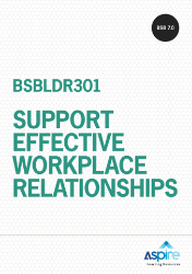 Picture of BSBLDR301 Support effective workplace relationships eBook