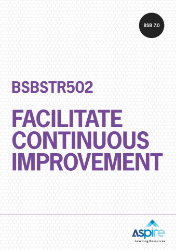Picture of BSBSTR502 Facilitate continuous improvement