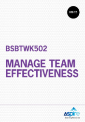 Picture of BSBTWK502 Manage team effectiveness eBook