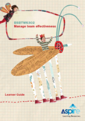 Picture of BSBTWK502 Manage team effectiveness eBook (ECEC)