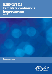Picture of BSBMGT516 Facilitate continuous improvement eBook