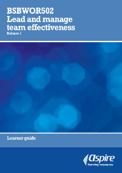 Picture of BSBWOR502 Lead and manage team effectiveness eBook