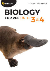 Picture of Biozone VCE Units 3&4 Biology
